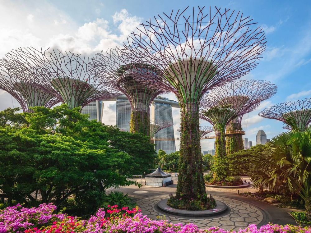 Gardens by the bay, Singapore