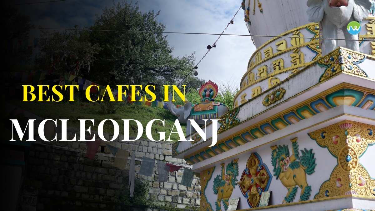 best cafes in McledoGanj