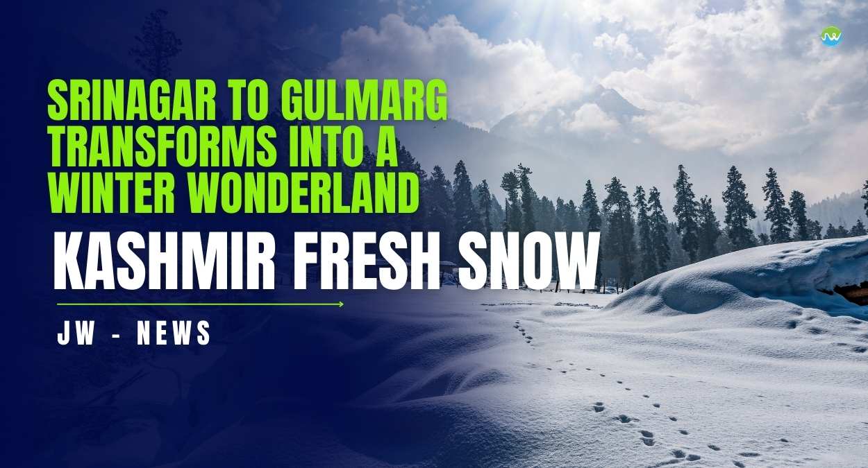 Kashmir Fresh Snow