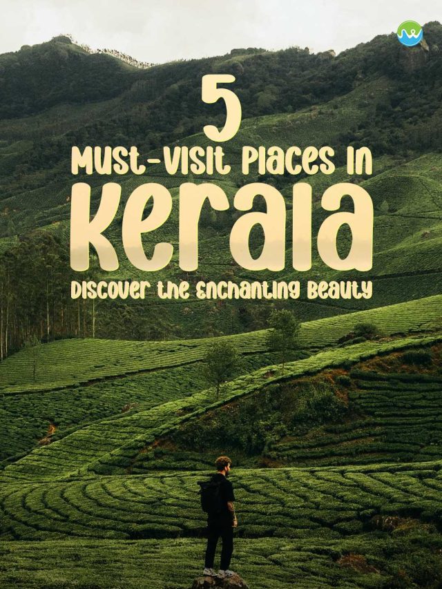 5 Must-Visit Places in Kerala Discover the Enchanting Beauty