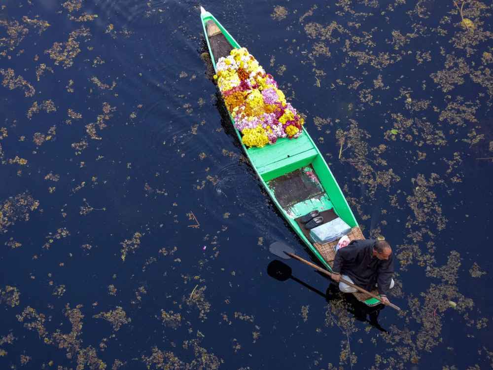 things to do in Srinagar