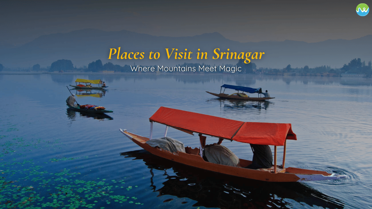 places to visit in Srinagar