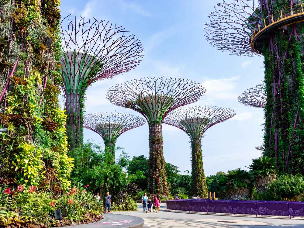 singapore tips