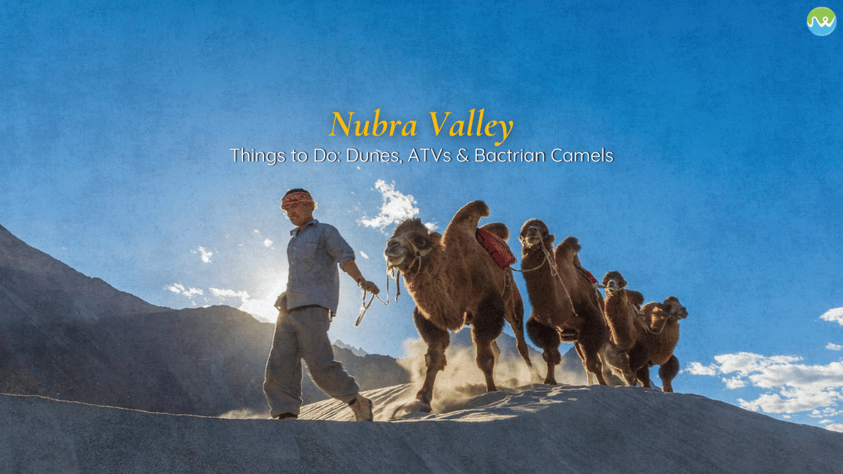 things to do in Nubra Valley