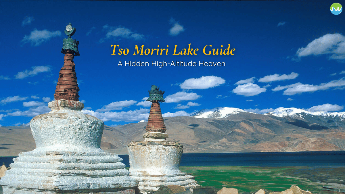 tso moriri guide
