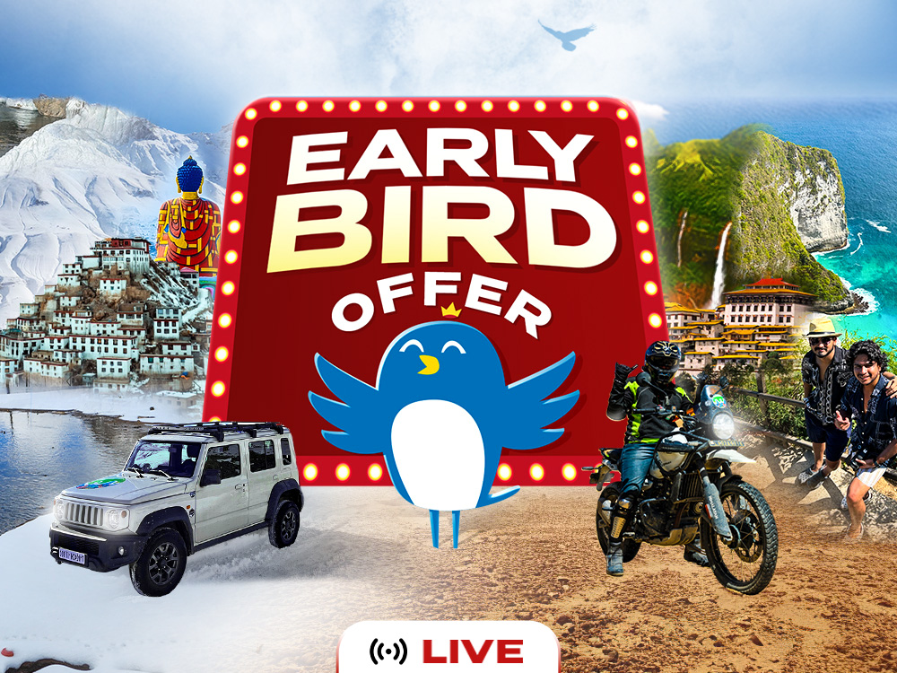 Early Bird - Winter Edition