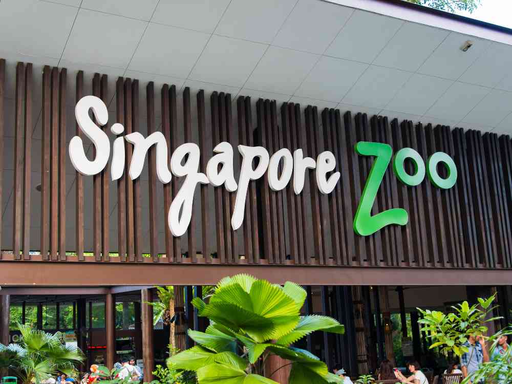 Night Safari at Mandai Wildlife Reserve