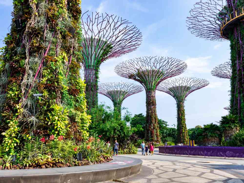 Gardens By The Bay