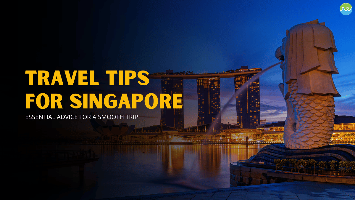 travel tips for singapore