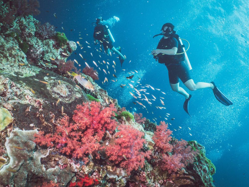 Diving