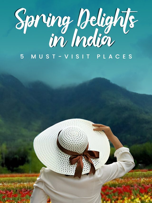 Spring Delights in India: 5 Must-Visit Places