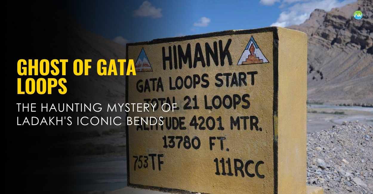 Ghost of Gata Loops