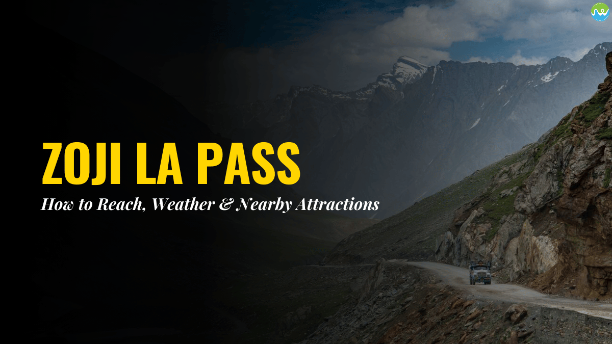 zoji la pass