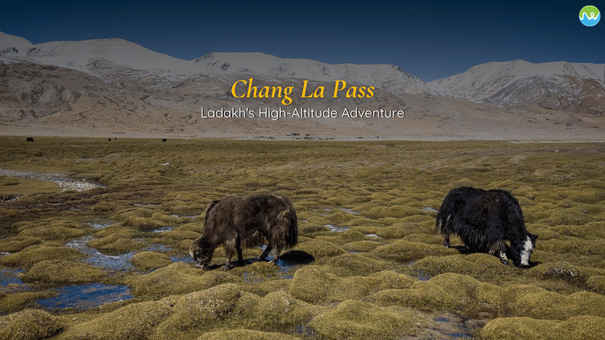 chang la pass