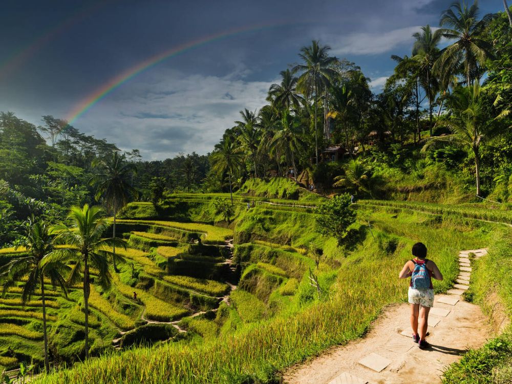 Tegalalang Rice Terraces In Bali