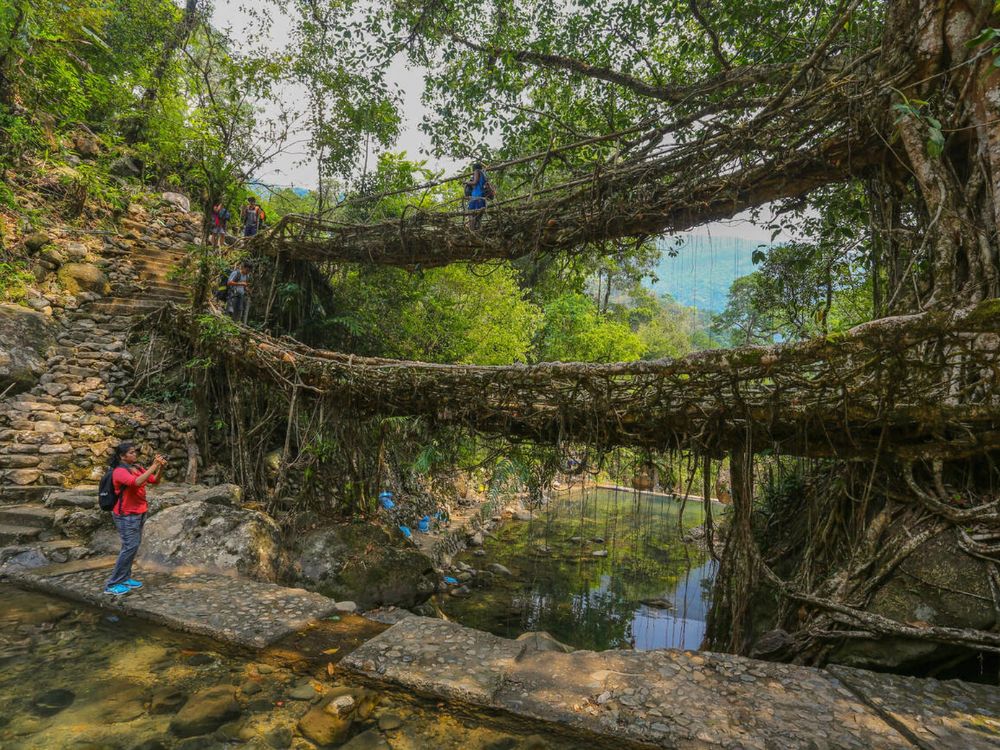 Meghalaya
