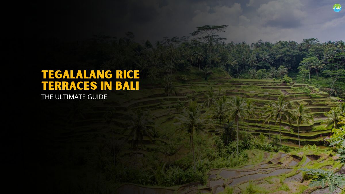 Tegalalang Rice Terraces In Bali