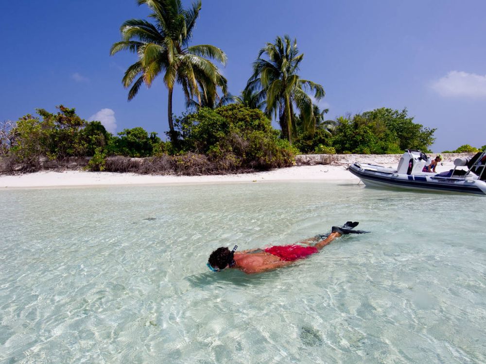 Snorkeling in Maldives