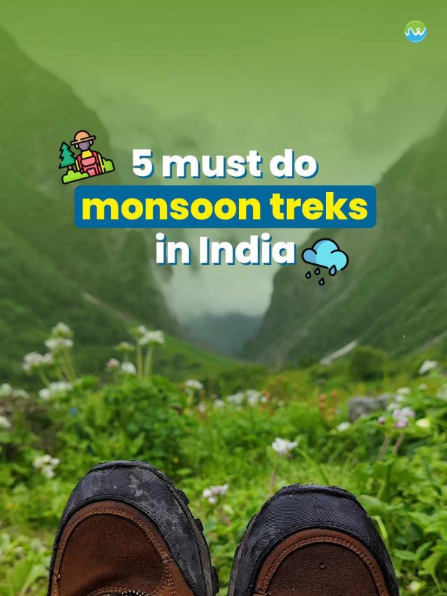 5 Must-Do Monsoon Treks in India
