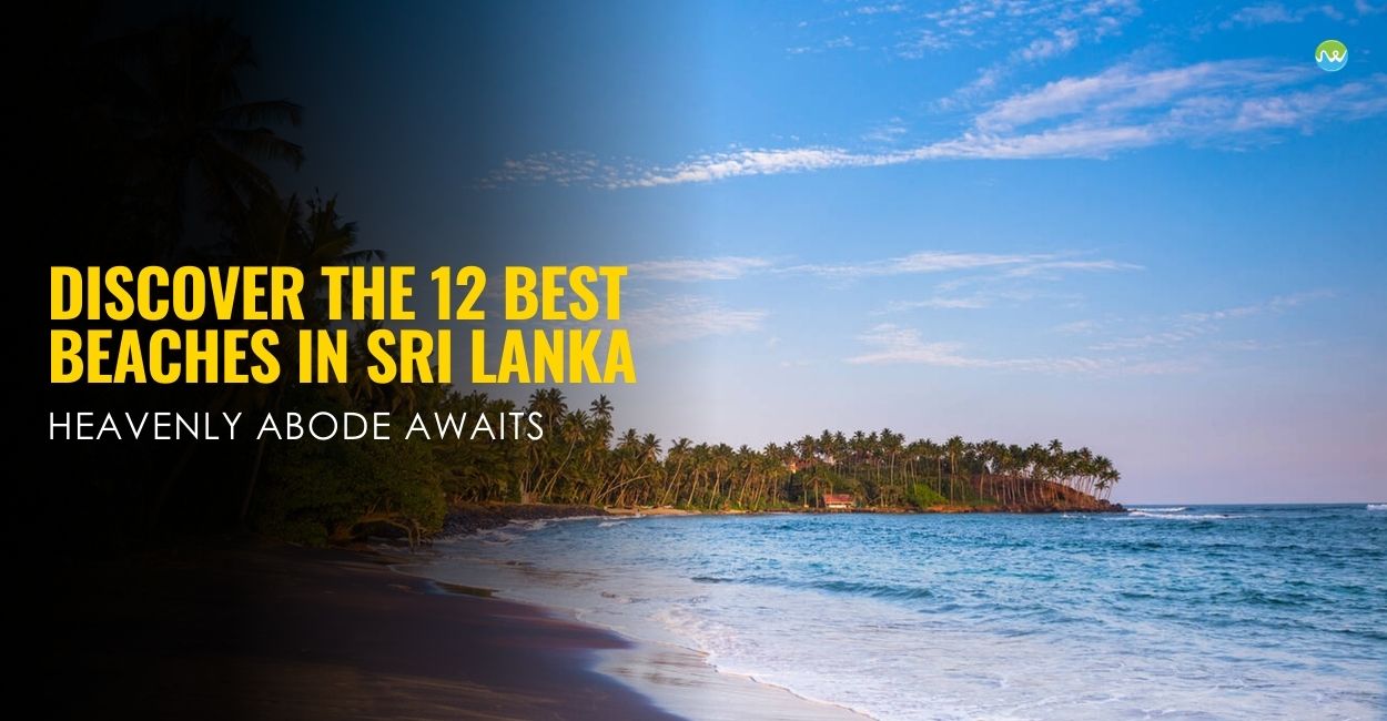Discover the 12 Best Beaches in Sri Lanka