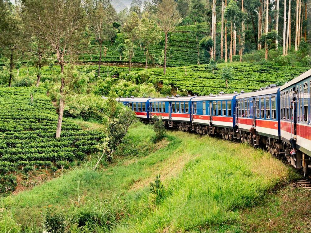 Nuwara Eliya, Sri Lanka