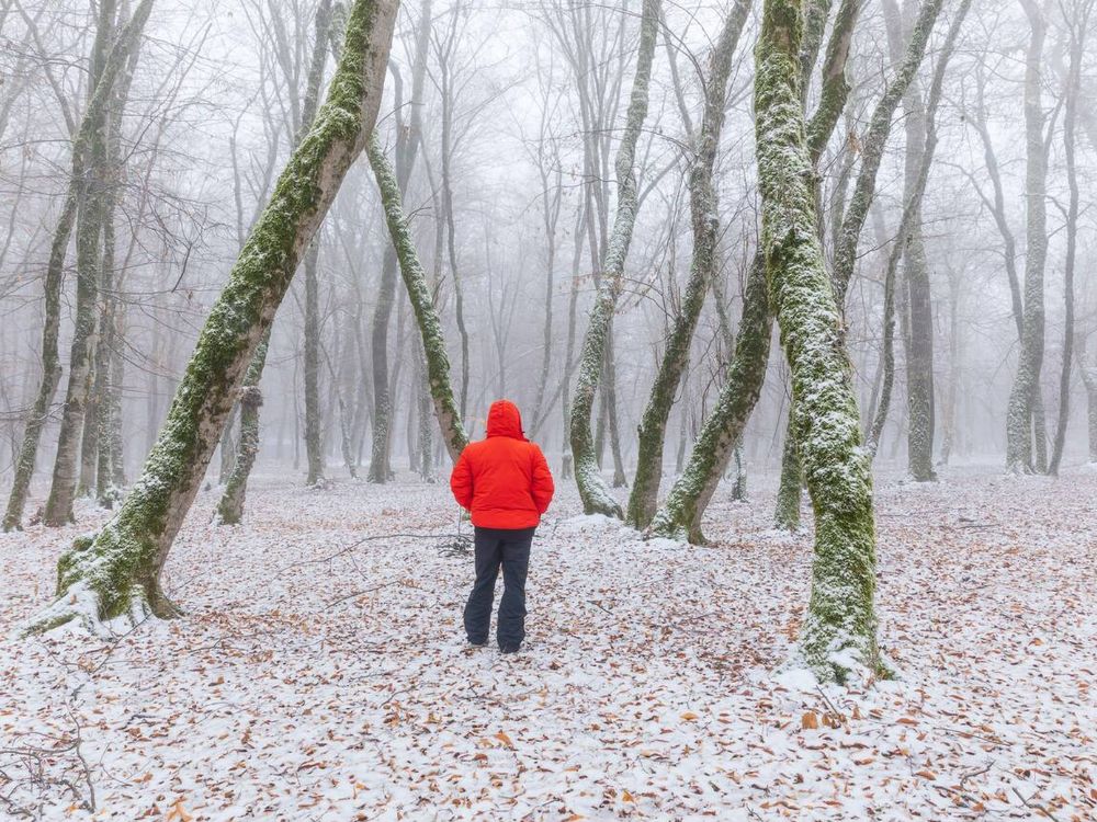 Gabala in winters