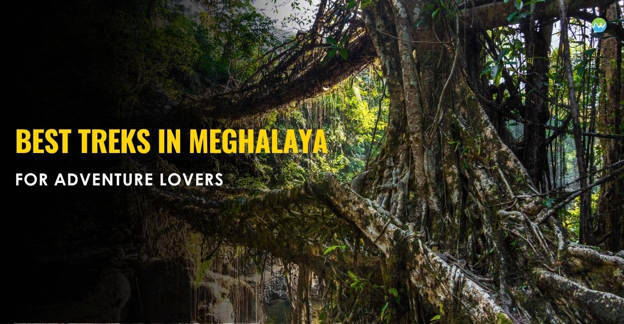 Best Treks in Meghalaya