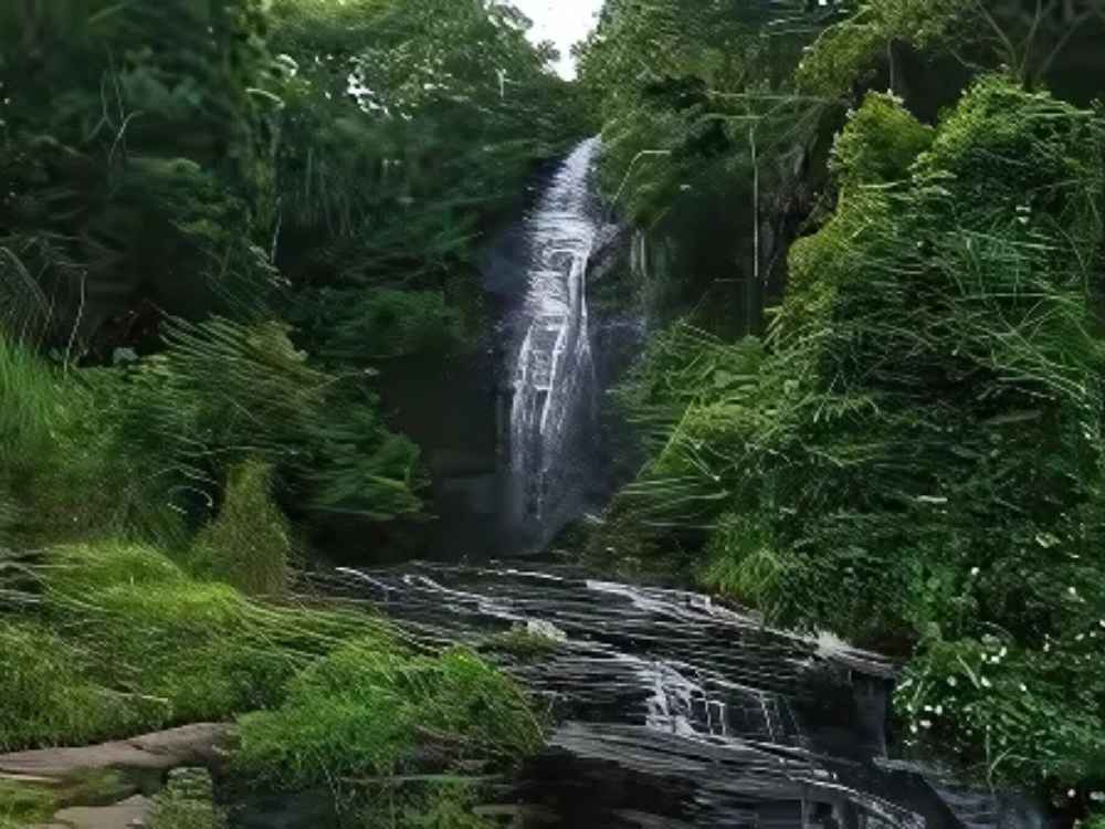 hidden gems of Kerala