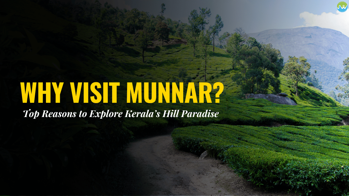 why visit munnar
