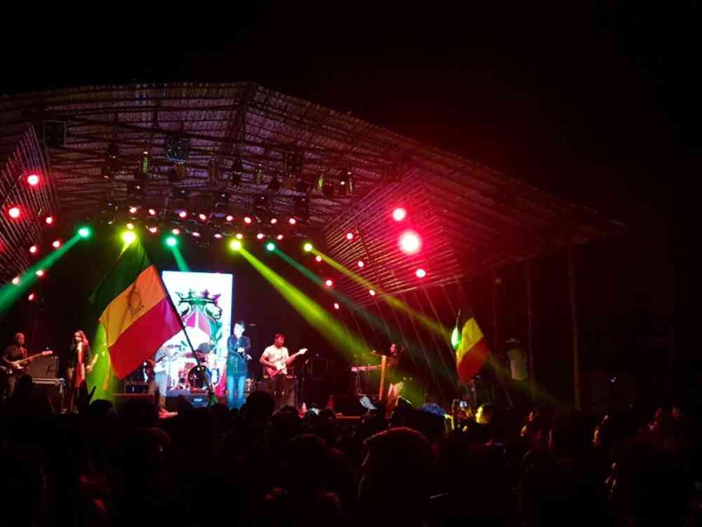 Ziro Music Festival Night