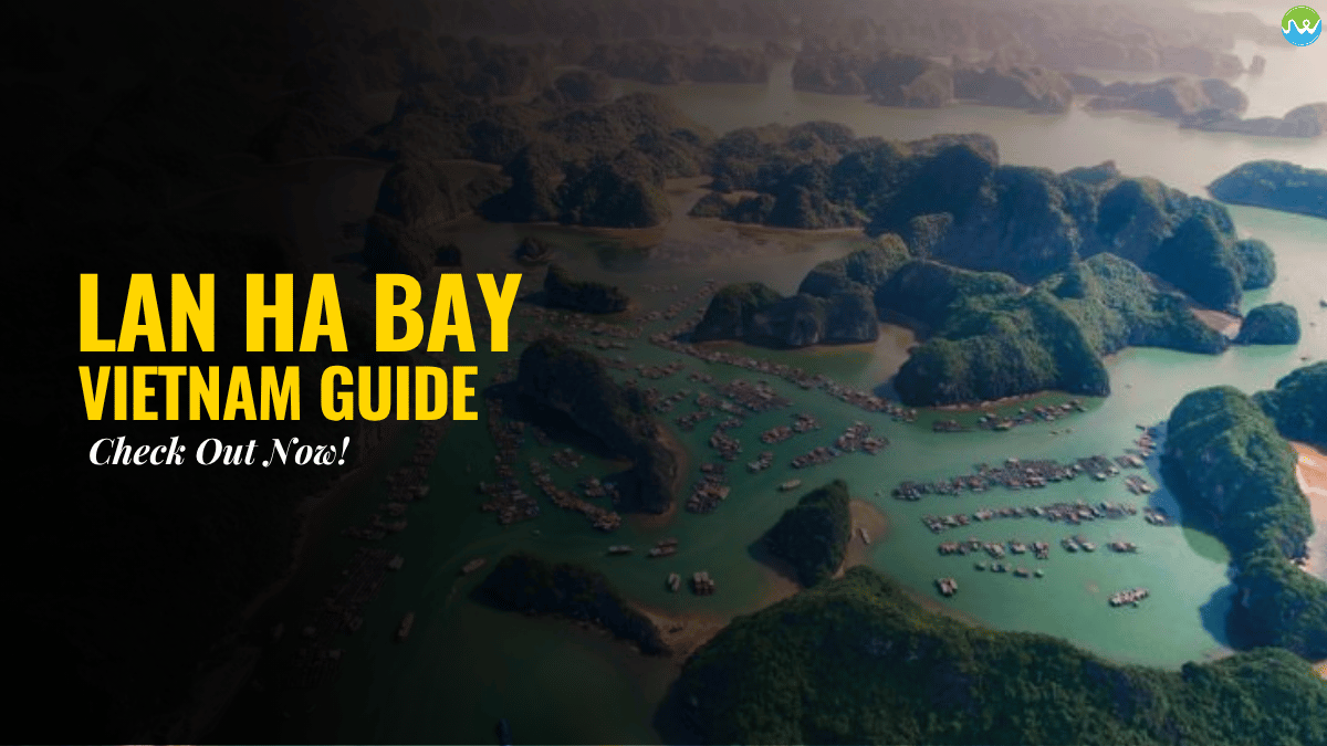 Lan Ha Bay Vietnam Guide Check Out Now!
