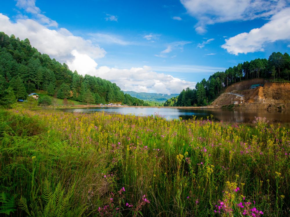 Scenic view of Siikhe Lake, Ziro Valley