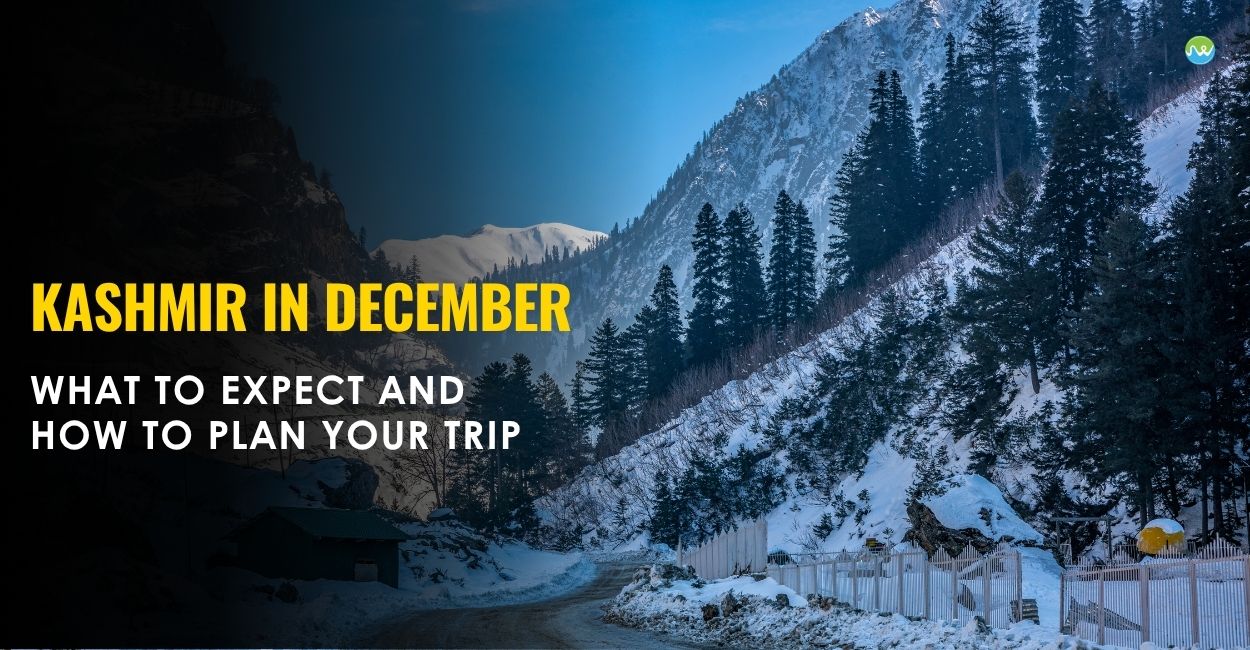 Kashmir in December