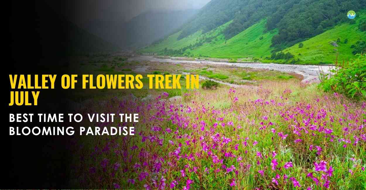 Valley of Flowers Trek in July