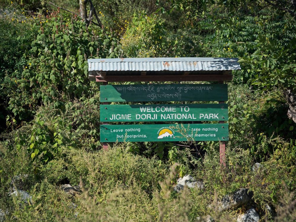 Jigme Dorji National Park