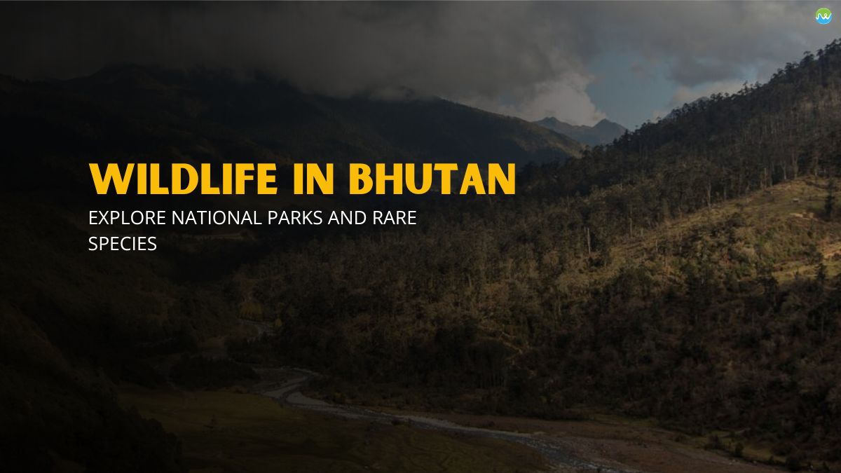Wildlife in Bhutan