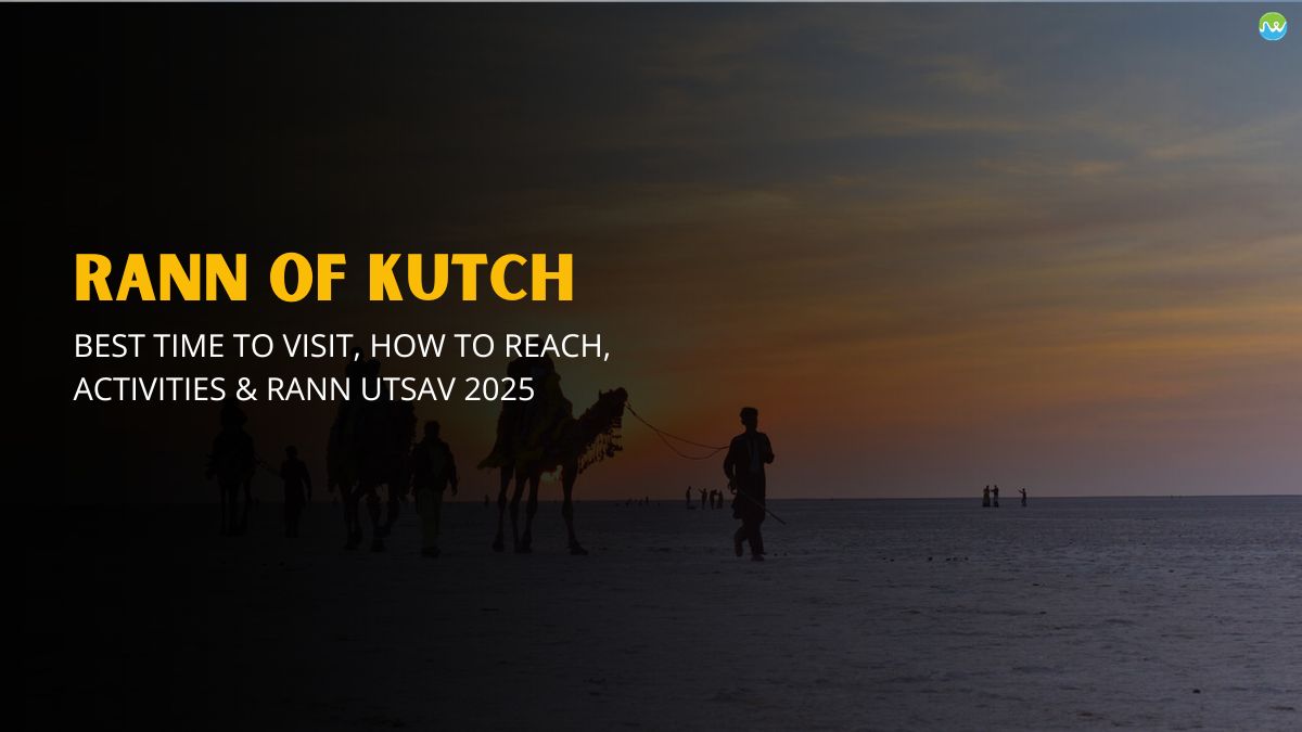 Best Time to Visit, How to Reach, Activities & Rann Utsav 2025