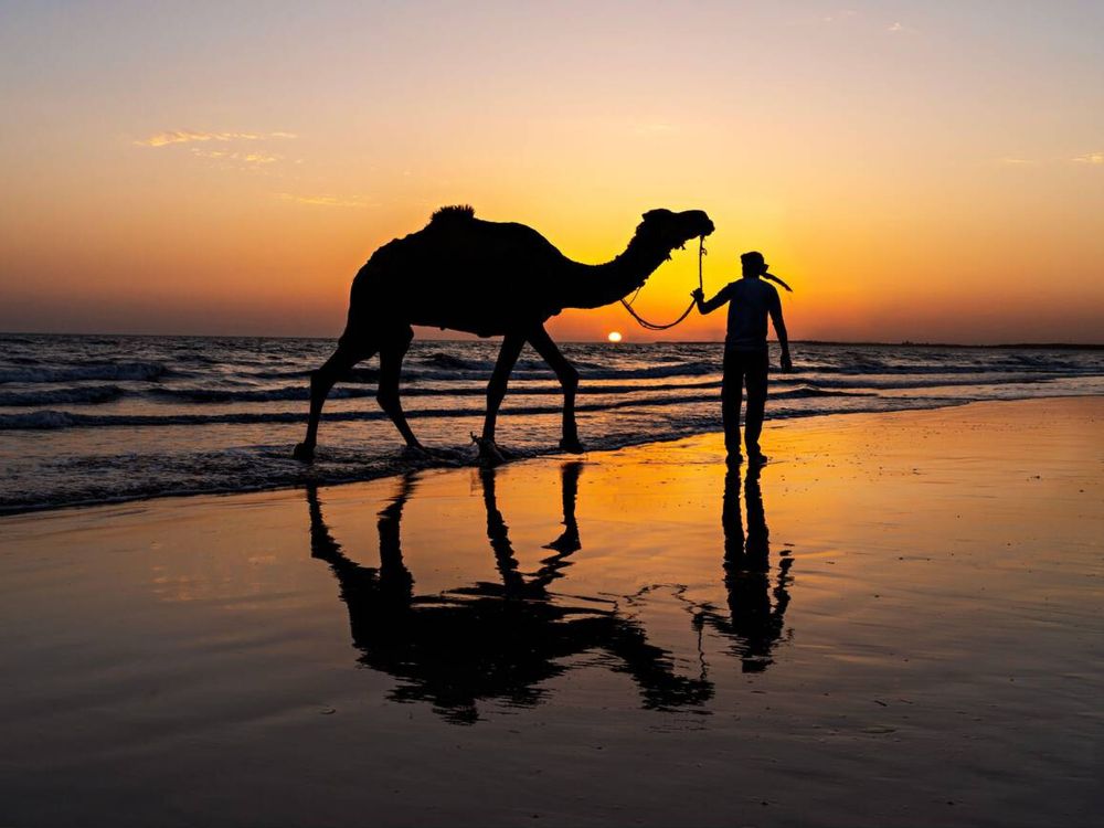 sunset views at Rann of Kutch