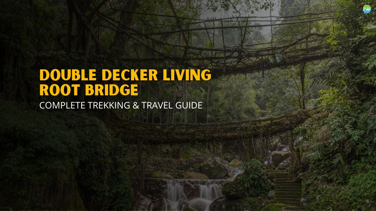 Double Decker Living Root Bridge – Complete Trekking & Travel Guide