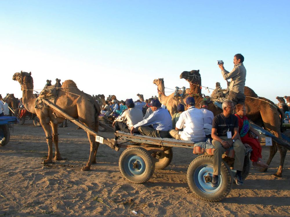 Rann Utsav