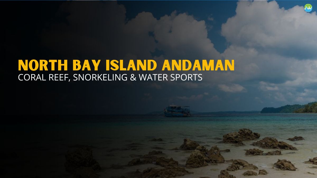 North Bay Island, Andaman