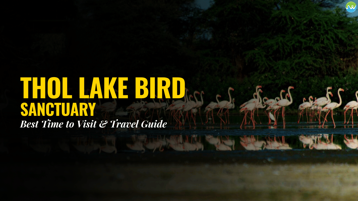 Thol Lake Gujarat