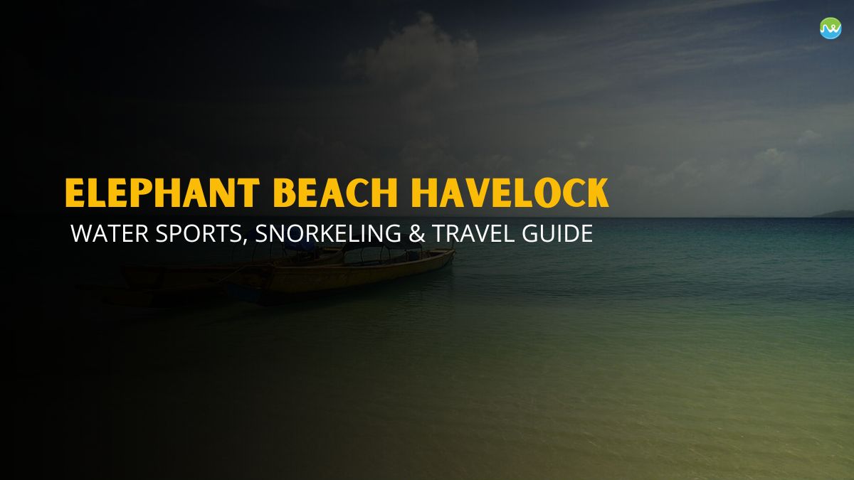 Elephant Beach Havelock – Water Sports, Snorkeling & Travel Guide