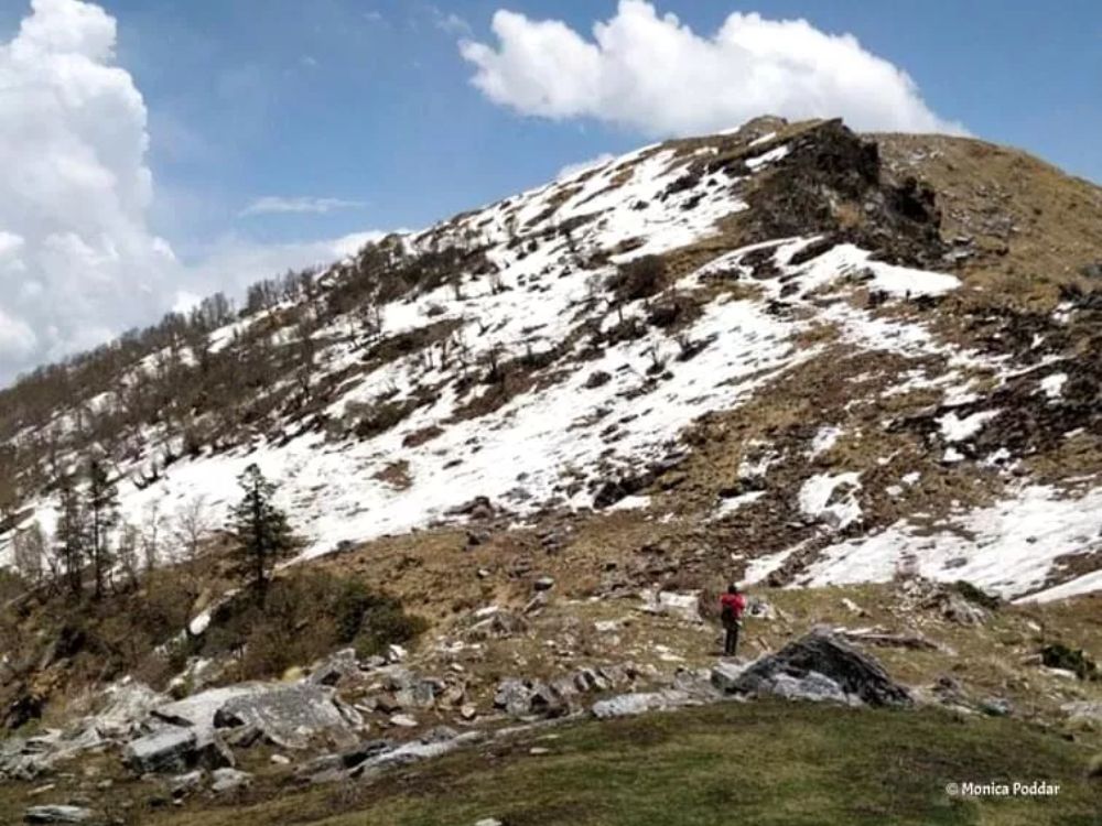 Mukta Top