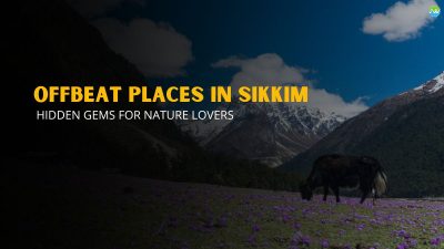 Sikkim Seasonal Guide