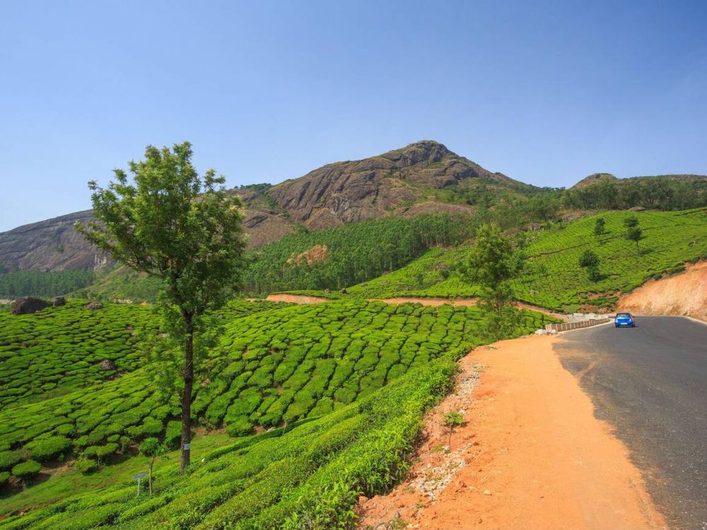 Munnar, Kerala