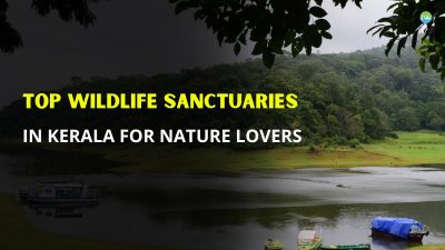 12 Top wildlife sanctuaries in Kerala