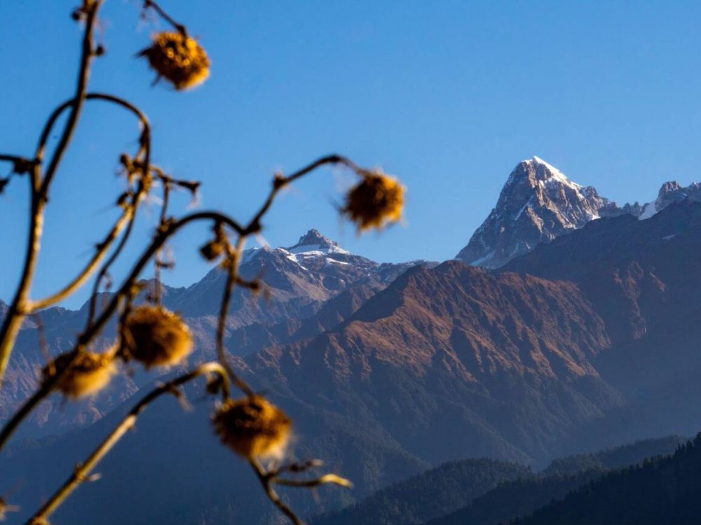 Majestic view of Srikantha and Gangotri peaks in the Garhwal Himalayas, with Raithal in Uttarkashi as a popular trekking hub in Uttarakhand, India