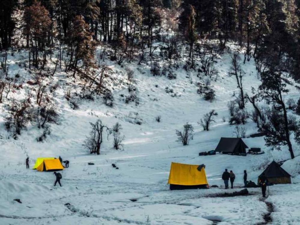 Snow covered campsites, Dayara bugyal