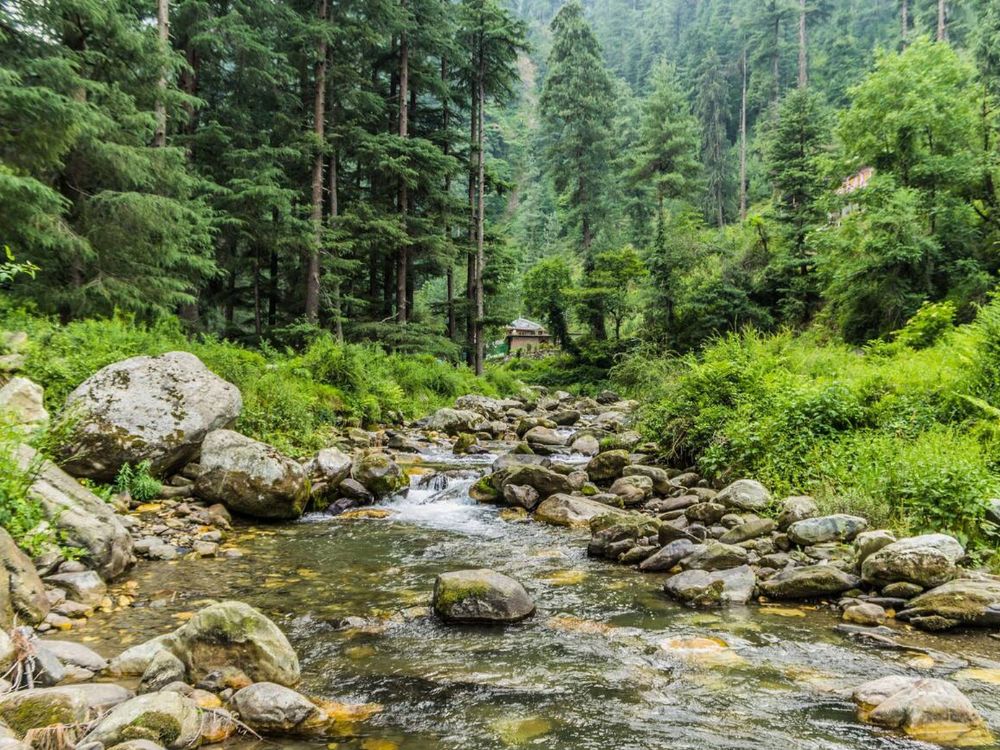 Views of Jibhi Village - Best thing in Jibhi